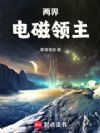 两界:电磁领主
