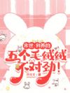 末世:我养的五个毛绒绒不对劲!