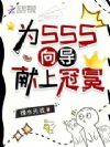 为SSS向导献上冠冕