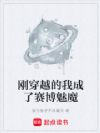 刚穿越的我成了赛博魅魔