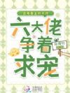 恶毒妻主娇又撩,六大佬争着求宠