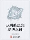 从机修虫到赛博之神