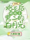穿成炮灰后,她成了男二的白月光