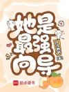 恶毒向导,深陷哨兵修罗场