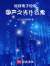 说好电子垃圾,国产之光什么鬼