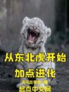 �Ӷ�������ʼ�ӵ����
