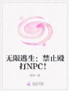 ������������ֹŹ��NPC��