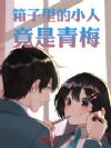 箱子里的小人竟是青梅