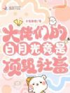 顶级社畜快穿后,大佬全都沦陷了