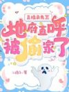 诡异直播:我卖的货全部来自地府