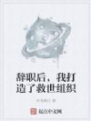 辞职后,我打造了救世组织