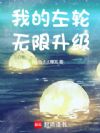 我的左轮无限升级